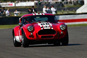 CJ9 8848wcf Sam Hancock, Gregor Fisken, AC Cobra CJ9 8848wcf Sam Hancock, Gregor Fisken, AC Cobra