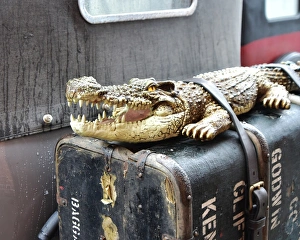 <b class=qtipBold><figcaption>CM11 7297 Snappy luggage</figcaption></b><br>Snappy luggage, VSCC, New Year Driving Tests, Brooklands, January 2016, 31st January, 2016, Brooklands, cars, Chris McEvoy, cjm-photography, competition, Fun, historic cars, iconic, January, New Year Driving Test, nostalgia, outdoors, pre-war, retro, saloon cars, sports, sports cars, Surrey, tests, trials, vintage cars, Vintage Sports Car Club, VSCC<br><em>© ©2016 Chris McEvoy, all rights reserved, www.cjm-photography.co.uk</em> CM11 7297 Snappy luggage