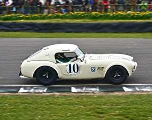 <b class=qtipBold><figcaption>CM12 3517 Tim Summers, AC Cobra</figcaption></b><br>Tim Summers, AC Cobra, Graham Hill Trophy, Goodwood 74th Members Meeting, Graham Hill Trophy, cars, circuit racing, England, Goodwood, Goodwood 74th Members Meeting, Goodwood Members Meeting, Graham Hill Trophy, Lord March, March 2016, motorsport, nostalgia, racing cars, sport, West Sussex, racing, sport, motorsport, speed, sports cars,<br><em>© ©2016 Chris McEvoy, www.cjm-photography.co.uk, all rights reserved.</em> CM12 3517 Tim Summers, AC Cobra