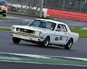 CM16 9017 Mark William Watts, Ford Mustang