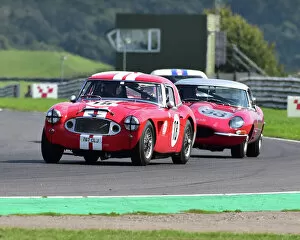 Images Dated 1st September 2018: CM25 4613 Will Linley, Austin Healey MkII