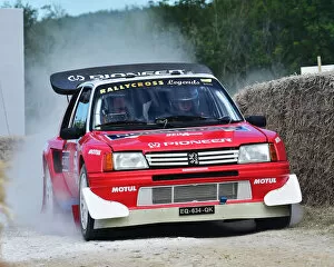 Images Dated 6th July 2019: CM28 8173 Phillippe Tollemer, Peugeot 205 T16
