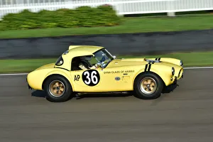 CM31 9029 Nick Sleep, Alex Montgomery, AC Cobra CM31 9029 Nick Sleep, Alex Montgomery, AC Cobra