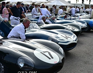 <b class=qtipBold><figcaption>CM4 9623 Jaguar D-Type</figcaption></b><br>Jaguar D-Type, Lavant Cup, Goodwood Revival 2014, 2014, automobile, Autosport, Goodwood Revival, Goodwood Revival 2014, Goodwood Revival 2014 Friday, Goodwood Revival 2014 Saturday, motor racing, motor sport, motorsport, nostalgia, racing cars, retro, Revival Meeting, saloon cars, saloons, sport, vintage, Jaguar D-Type, Lavant Cup,<br><em>© A© 2014 Chris McEvoy, all rights reserved, www.cjm-photography.co.uk.</em> CM4 9623 Jaguar D-Type