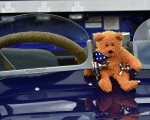 <b class=qtipBold><figcaption>CM9 4639 mascot</figcaption></b><br>Mascot, FIA, Masters Historic Sports Cars, Silverstone Classic 2015<br><em>© © 2015 Chris McEvoy, All rights reserved, www.cjmphotography.co.uk</em> CM9 4639 mascot