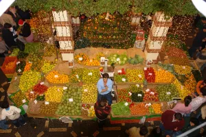 Fruit stall at Christmas, Funchal, Madeira, Portugal Fruit stall at Christmas, Funchal, Madeira, Portugal