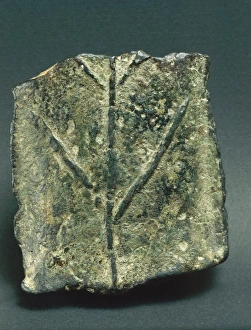 Aes Signatum ingot depicting a dry bough, stamped copper, republican age Aes Signatum ingot depicting a dry bough, stamped copper, republican age