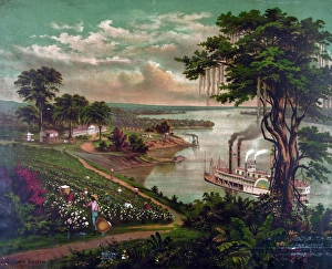 African-Americans picking cotton on plantation beside the Mississippi, c1883 African-Americans picking cotton on plantation beside the Mississippi, c1883