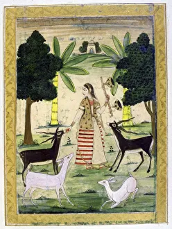 Album of Ragamala. Young woman charming the deer and gazelles with her playing and singing Album of Ragamala. Young woman charming the deer and gazelles with her playing and singing