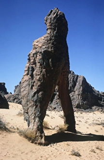 Algeria, Sahara desert, Tassili-n-Ajjer, eroded rocks Algeria, Sahara desert, Tassili-n-Ajjer, eroded rocks