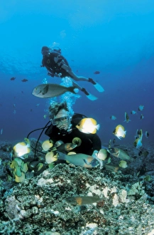 America. United States. Hawaii Islands. Scuba divers America. United States. Hawaii Islands. Scuba divers