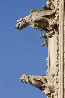 Statue Gallery: Amiens cathedral