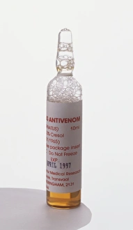 Ampoule of antivenin serum, orange liquid with foam at top Ampoule of antivenin serum, orange liquid with foam at top