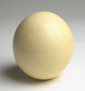 Ostrich Egg Print (Vertical)