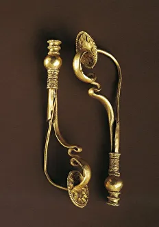 Arc fibulae, from Fraore, fraction of Parma, Italy Arc fibulae, from Fraore, fraction of Parma, Italy