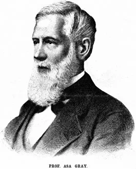 Asa Gray (1810-1888) American botanist