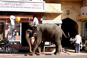 Asia. india. Rajasthan. Jaipur. City Asia. india. Rajasthan. Jaipur. City