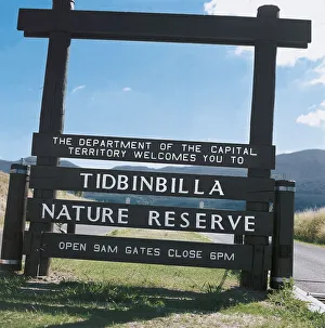 Australia, Tidbinbilla Nature Reserve, created for protection of koala bears Australia, Tidbinbilla Nature Reserve, created for protection of koala bears