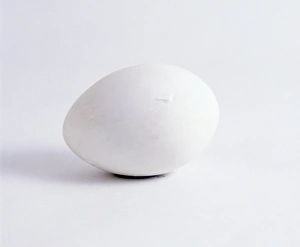Aylesbury duck egg with tiny crack visible