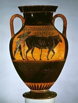 Black-figure pottery, amphora by Lysippides Painter depicting Heracles with the bull, Greek civilization