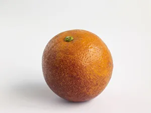 <b class=qtipBold><figcaption>One blood orange</figcaption></b><br><em>© Dorling Kindersley/UIG</em> One blood orange