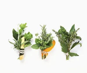 <b class=qtipBold><figcaption>Three bouquet garni, close-up</figcaption></b><br><em>© Dorling Kindersley/UIG</em> Three bouquet garni, close-up