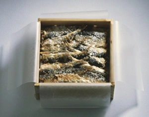 Box of whole dried fish covered with salt, view from above Box of whole dried fish covered with salt, view from above