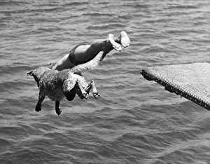 <b class=qtipBold><figcaption>Boy And His Dog Dive Together</figcaption></b><br>San Diego, California: July 23, 1940. A boy and his Chesapeake Bay Retriever dive together off the diving board on Brennan Isle at the San Diego Rowing Club.<br><em>© Underwood Archives/UIG</em> Boy And His Dog Dive Together