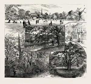 Breathing Spaces for London, Clissold Park, Stoke Newington Breathing Spaces for London, Clissold Park, Stoke Newington