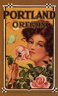 brochure classic classical foreground illustration brochure classic classical foreground illustration