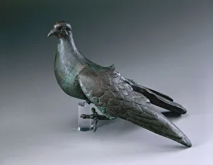 Bronze dove from a sculptural group, from Torre del Greco, Villa Sora Bronze dove from a sculptural group, from Torre del Greco, Villa Sora