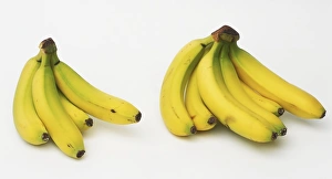 <b class=qtipBold><figcaption>Two bunches of bananas</figcaption></b><br><em>© Dorling Kindersley/UIG</em> Two bunches of bananas
