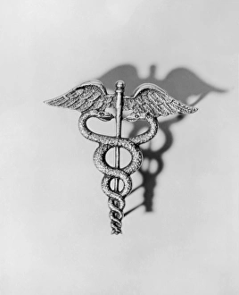 <b class=qtipBold><figcaption>Caduceus</figcaption></b> Caduceus
