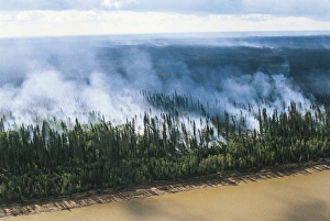 Canada, Alberta, Northwest territories of Wood Buffalo National Park (UNESCO World Heritage List, 1983). Fire in coniferous forest Canada, Alberta, Northwest territories of Wood Buffalo National Park (UNESCO World Heritage List, 1983). Fire in coniferous forest