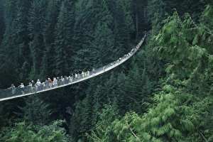 Canada, British Columbia, Vancouver, tourists on the Capilano Suspension Bridge crossing Canada, British Columbia, Vancouver, tourists on the Capilano Suspension Bridge crossing