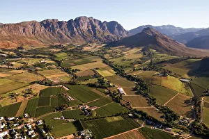 Cape Winelands