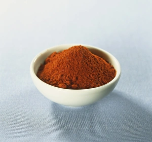 Capsicum annuum, ground Hungarian Paprika in small ceramic bowl, close up