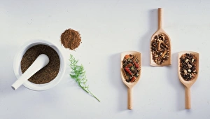 <b class=qtipBold><figcaption>Caraway and Mixed Spices</figcaption></b><br><em>© Dorling Kindersley/UIG</em> Caraway and Mixed Spices