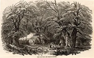 Charcoal burners in Mark Ash Wood in the New Forest, England. On the left one of Charcoal burners in Mark Ash Wood in the New Forest, England. On the left one of