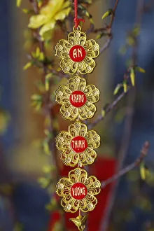Chinese Lunar New Year ot Tet decorations on yellow tree Chinese Lunar New Year ot Tet decorations on yellow tree