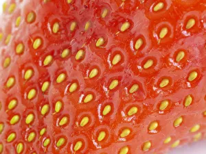 <b class=qtipBold><figcaption>Close-up of red strawberry</figcaption></b><br><em>© Dorling Kindersley/UIG</em> Close-up of red strawberry