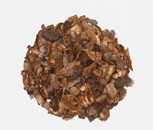 <b class=qtipBold><figcaption>Cocoa shells</figcaption></b><br><em>© Dorling Kindersley/UIG</em> Cocoa shells