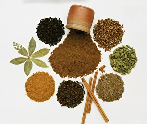 <b class=qtipBold><figcaption>Constituents of Garam Masala</figcaption></b><br><em>© Dorling Kindersley/UIG</em> Constituents of Garam Masala