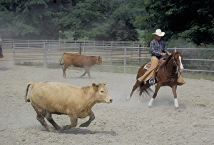 Cowboy Hats Gallery: Cowboy. Livestock