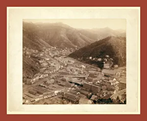 Deadwood. From Mt. Moriah