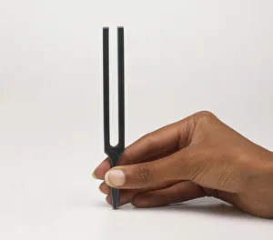 Demonstrating sound waves with a tuning fork and a microphone Demonstrating sound waves with a tuning fork and a microphone