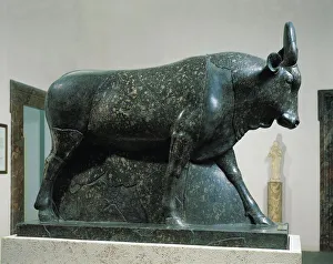 Diorite statue of bull-deity Apis, from Rome Diorite statue of bull-deity Apis, from Rome