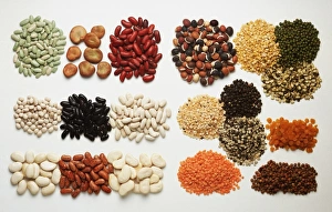 <b class=qtipBold><figcaption>Dried Beans</figcaption></b><br><em>© Dorling Kindersley/UIG</em> Dried Beans