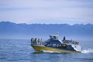 Eco-Tourism boat on the waters off the Kaikoura coast, looking for a pod of sperm whales Eco-Tourism boat on the waters off the Kaikoura coast, looking for a pod of sperm whales