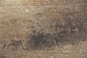 Egypt, Memphis, Saqquara necropolis, Mastaba of Kagemni, Old Kingdom, Relief Egypt, Memphis, Saqquara necropolis, Mastaba of Kagemni, Old Kingdom, Relief